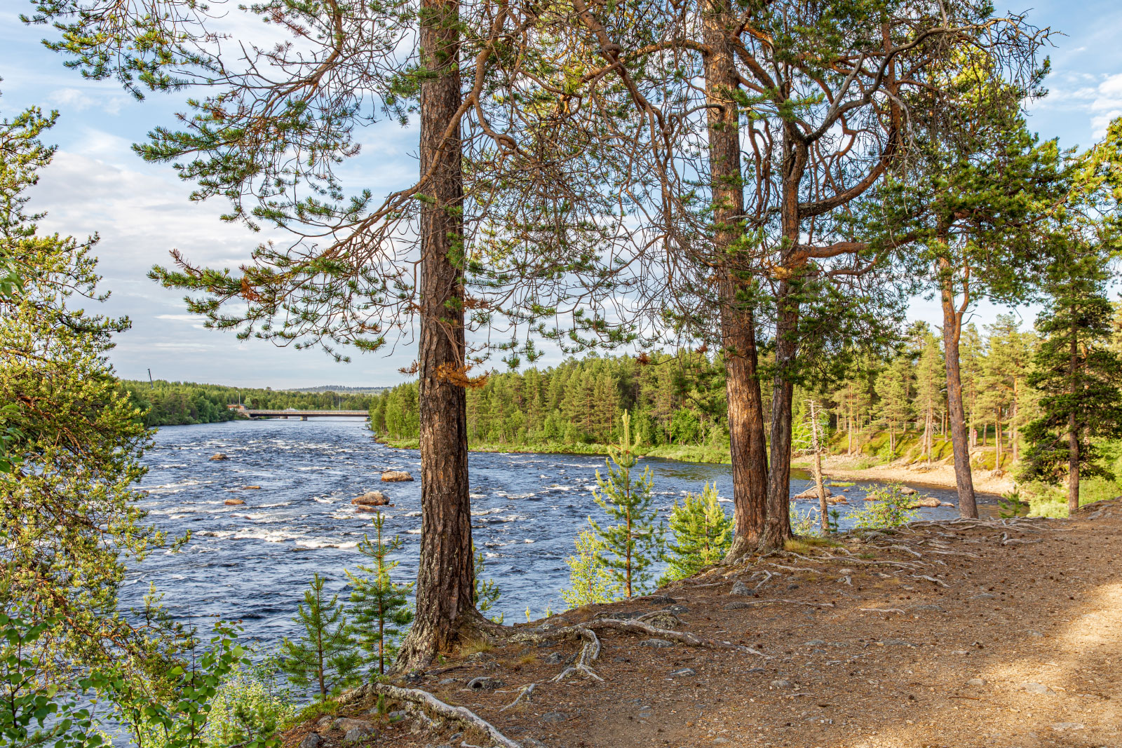 Inari (Photo license: CC BY 2.0)